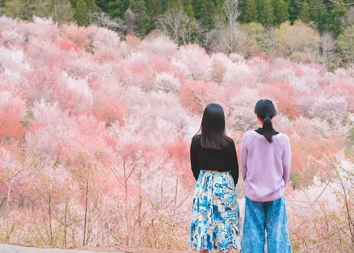 Urabandai Lake Resort Geihinkan Nekoma Rikyu
